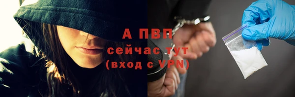 стафф Зеленокумск