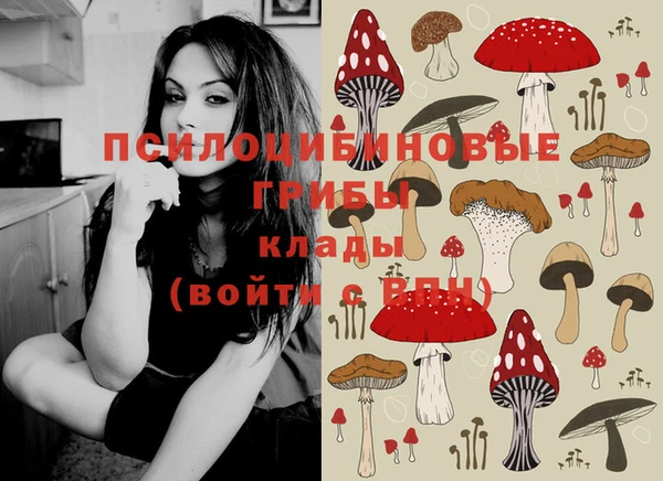 стафф Зеленокумск